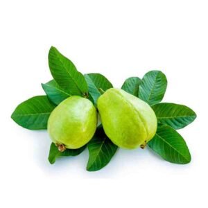 Guava - 100g